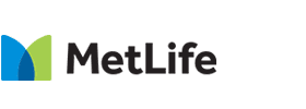 A green background with the word netlife written in black.