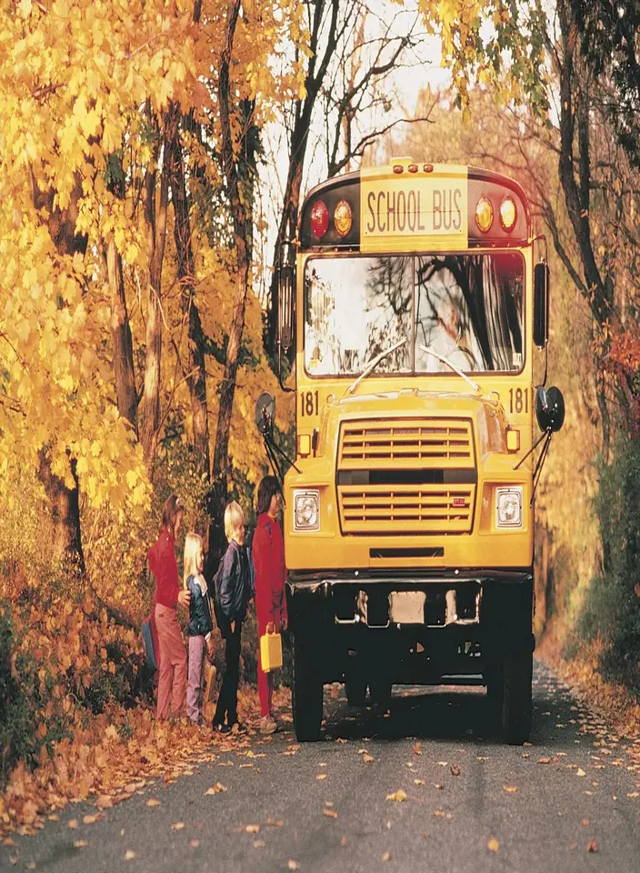 A school bus is parked on the side of the road.